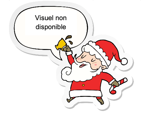 Père noël avec sa hotte (chocolat au lait)